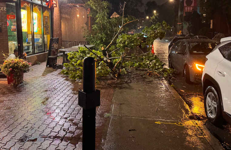 STORM-02.jpg