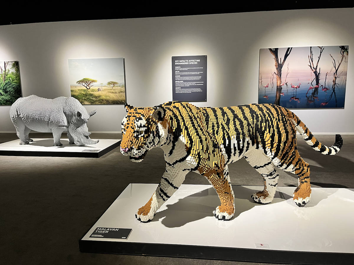 Art-of-the-Brick-tiger.jpg