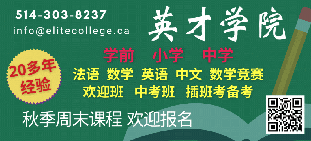张洁 || 刚入海关即遭遣,芝加哥魔幻之旅
