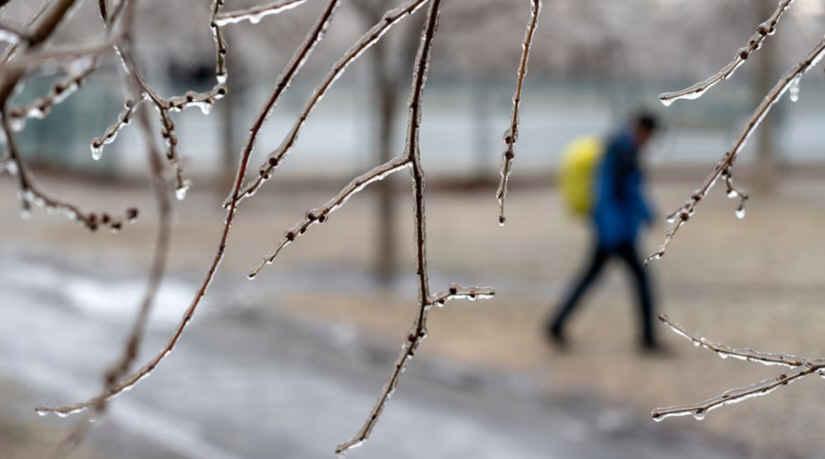 蒙特利尔遭逢冻雨后  气温将骤降及强风吹袭