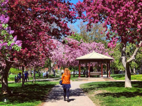 Westmount Park.jpg