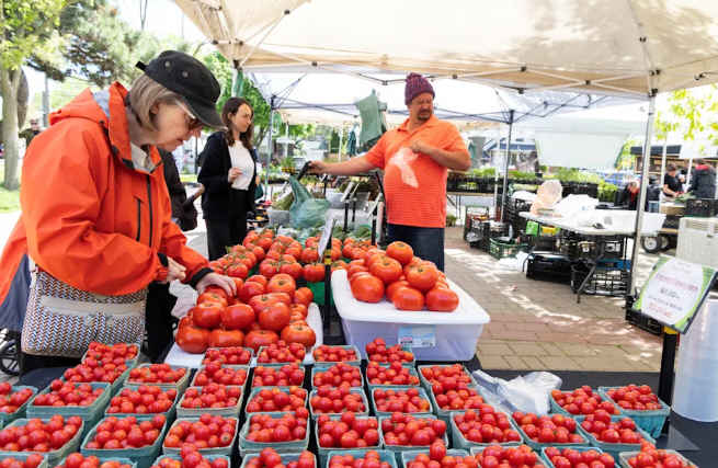 加拿大8月通胀率升至1.9%　专家料央行明天减息