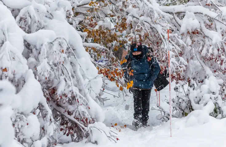 蒙特利尔一夜降雪20厘米   魁省大范围停电
