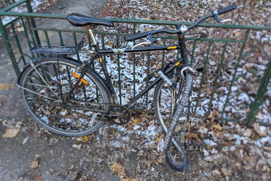 蒙特利尔人行道除雪   每年造成市民财产显著损失