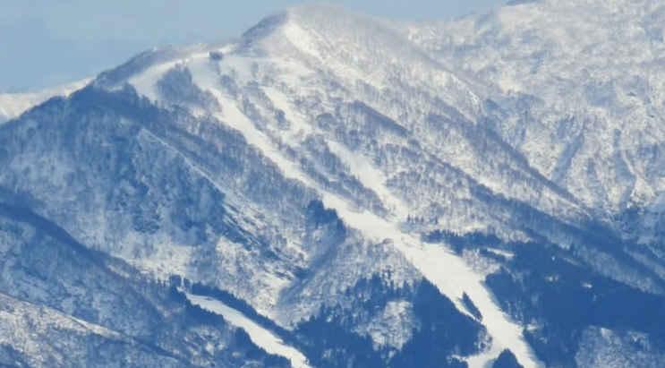加拿大女子日本滑雪时疑偏离雪道  坠入瀑布水潭死亡