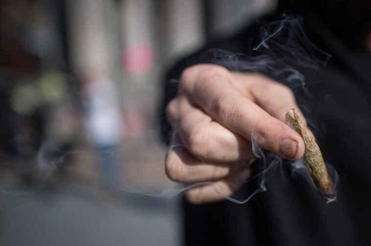 魁北克大麻使用率下降  各年龄层变化差异明显