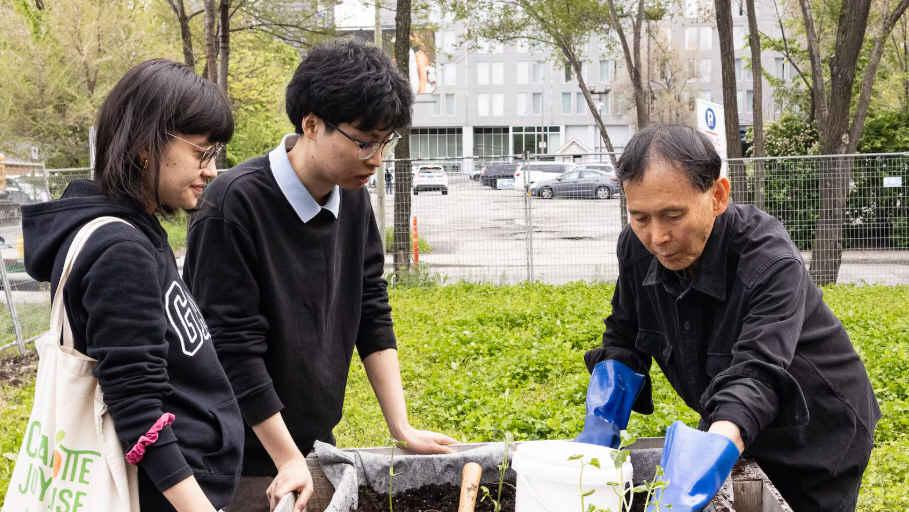 蒙特利尔维多利亚日长周末 哪些场所开放，哪些关闭？