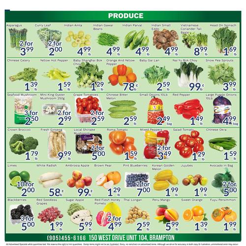 Oceans 150 West 店 Brampton flyers valid 2025-11-14 - 2025-11-21