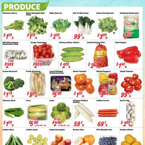 Nations Fresh Food 宾顿店 Brampton flyers valid 2025-11-14 - 2025-11-21