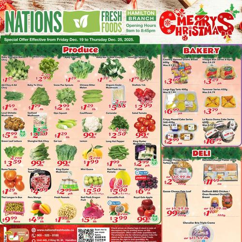 Nations 汉密尔顿店 Hamilton flyers valid 2025-12-19 - 2025-12-26