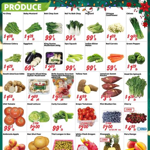 Nations Fresh Food 宾顿店 Brampton flyers valid 2025-12-26 - 2026-01-02