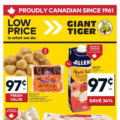 Giant Tiger (ON) flyers valid 2026-01-07 - 2026-01-13