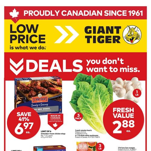 Giant Tiger (ON) flyers valid 2026-01-28 - 2026-02-03