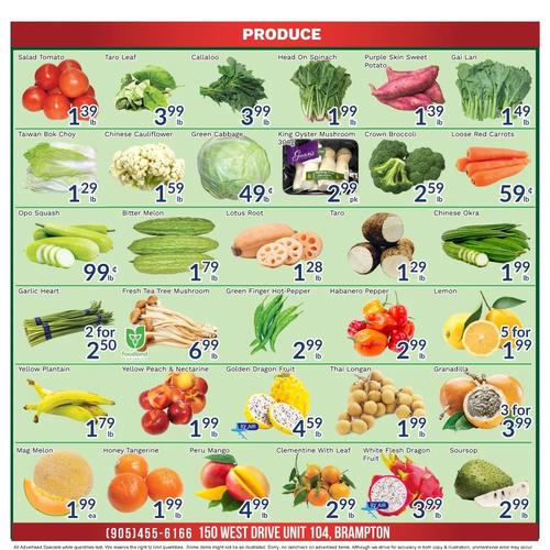 Oceans 150 West 店 Brampton flyers valid 2026-02-13 - 2026-02-20