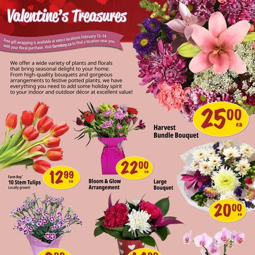 Farm Boy Richmond Hill flyers valid 2026-02-12 - 2026-02-19